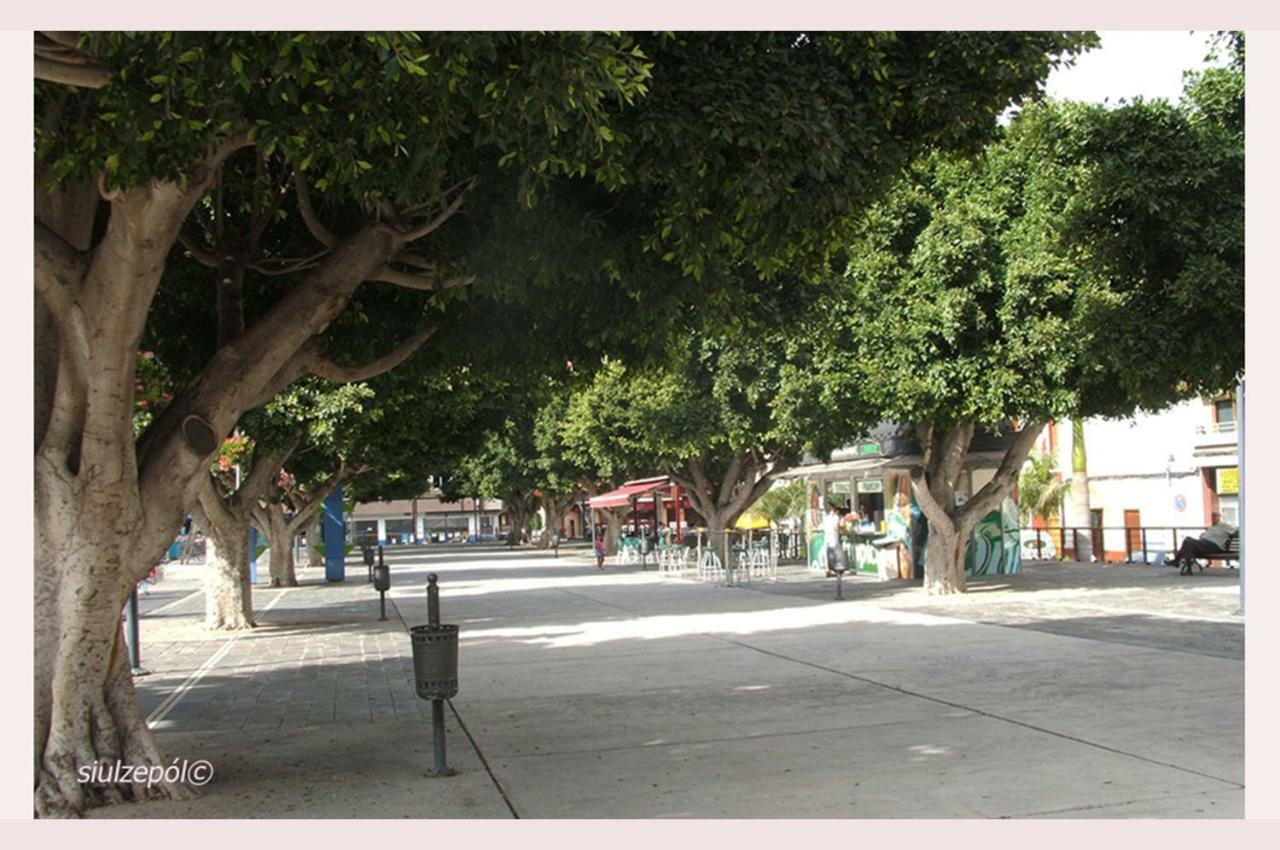 Piso Familiar Centrico Campillo Villa เตลเด ภายนอก รูปภาพ