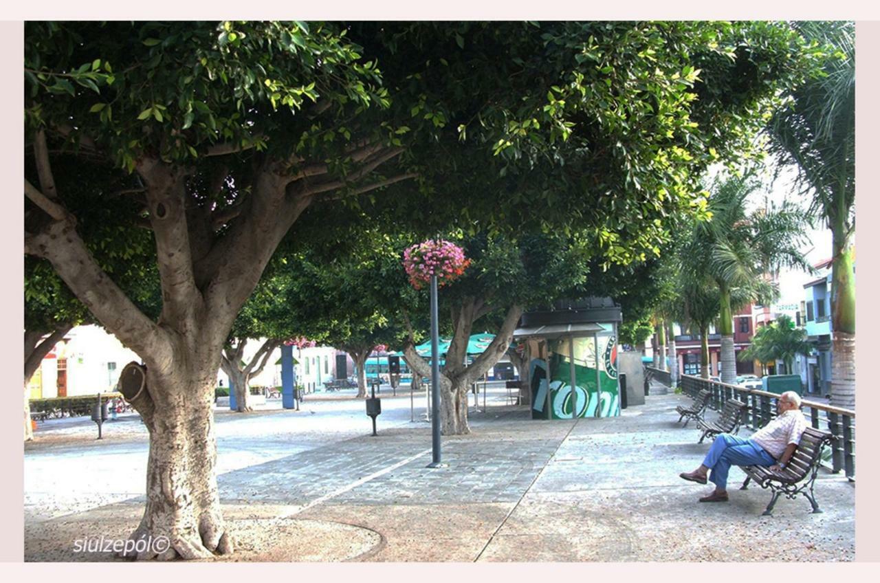 Piso Familiar Centrico Campillo Villa เตลเด ภายนอก รูปภาพ